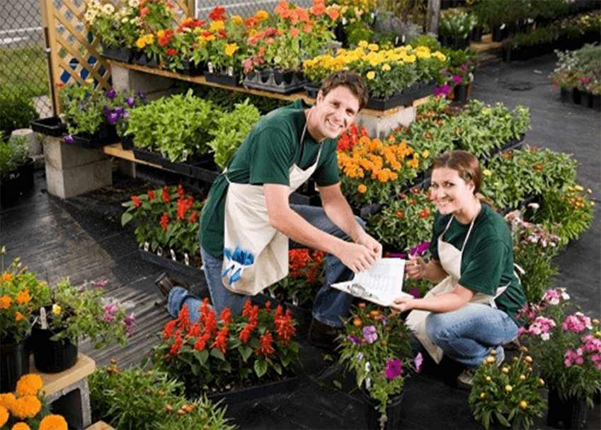 Horticulture A (Introduction) Online Course Careerline Courses